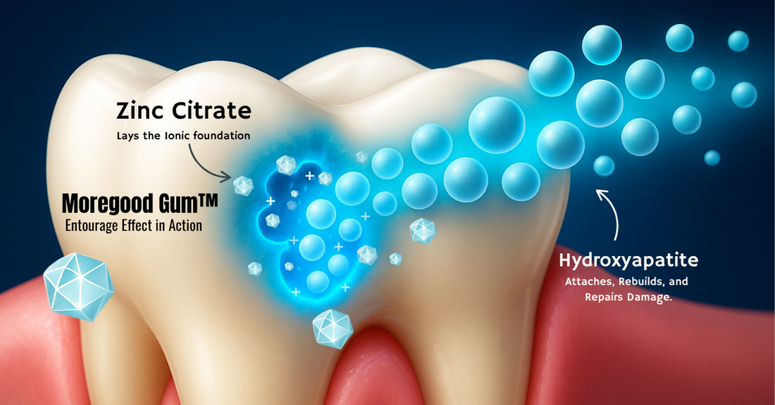 Zinc Citrate laying an ionic foundation on tooth enamel while spherical Hydroxyapatite particles from MoreGood Gum™ remineralize.
